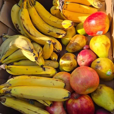 Photo of free Ripe Bananas & fruit (Mountain View) #1