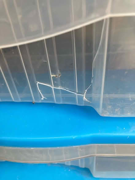 Photo of free Plastic storage (Brockley SE4) #2