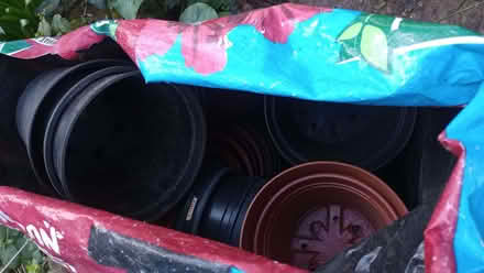 Photo of free Plastic plant pots (Wells Road) #1