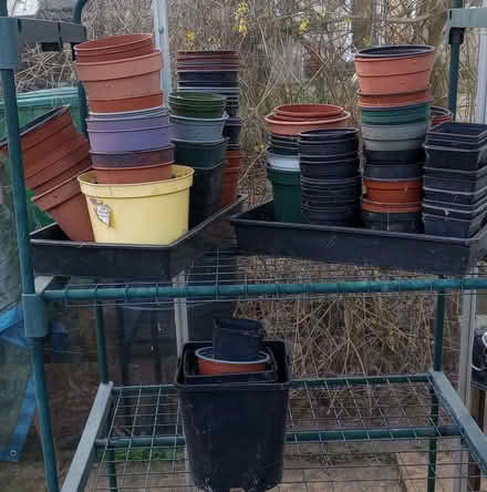 Photo of free Plant pots and seed trays (Wells Road) #1