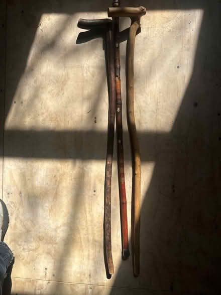 Photo of free Walking Sticks (Cortlandt Man near Put Valley) #1