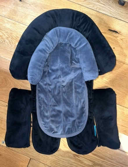 Photo of free Seat Head & Body Support (baby) (West acton - W3) #2