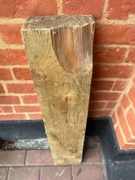 Photo of free Wood (Mitcham CR4) #2