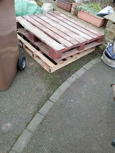 Photo of free Three pallets (Backworth NE27) #1
