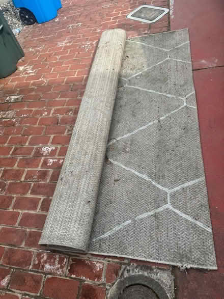 Photo of free Outdoor Rug (Fiesta gardens) #1
