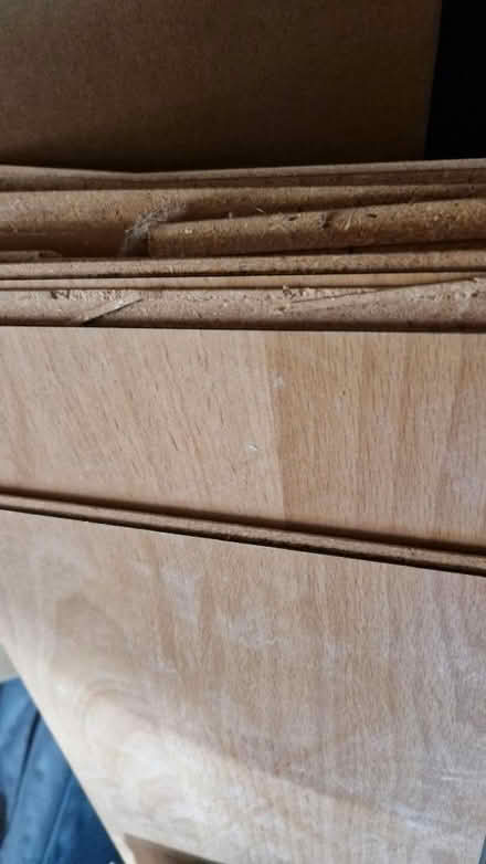 Photo of free Laminate Flooring (Bridge of Allan FK9) #3