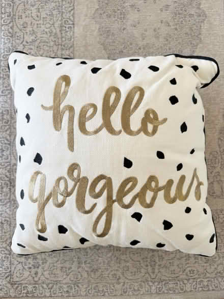 Photo of free pillows & covers (West Chester / West Goshen) #4