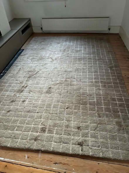 Photo of free Pure Wool Rug 3 m x 2m (Homerton E5) #1