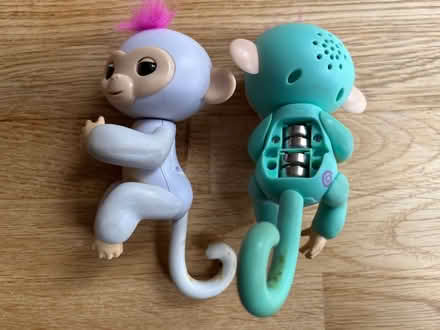 Photo of free Talking monkey toys (Wainscott) #1