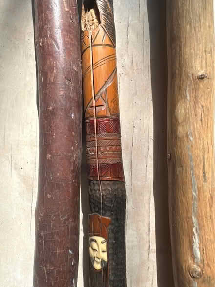 Photo of free Walking Sticks (Cortlandt Man near Put Valley) #2