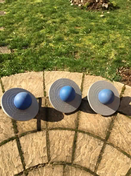 Photo of free Lo-lo Balls! (West Oxfordshire OX29) #1