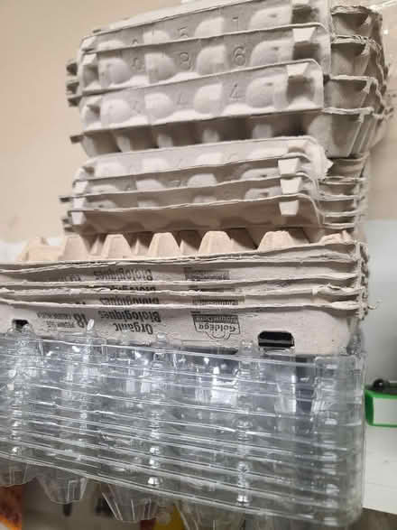Photo of free Egg cartons (Mississauga Ontario Canada) #1