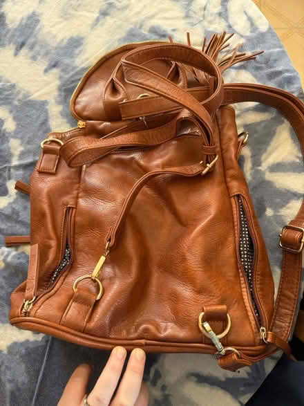 Photo of free Brown purse/backpack (Woodlawn) #3