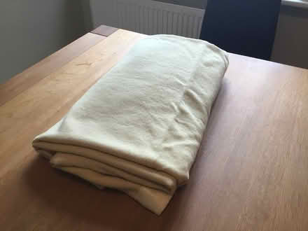 Photo of free Large blanket (Berkhamsted HP4) #3