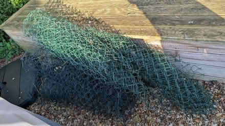 Photo of free Garden netting mesh (Low Fell NE9) #1