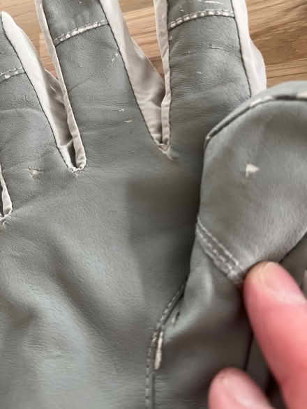 Photo of free Ladies ski gloves (Winnersh RG41) #4