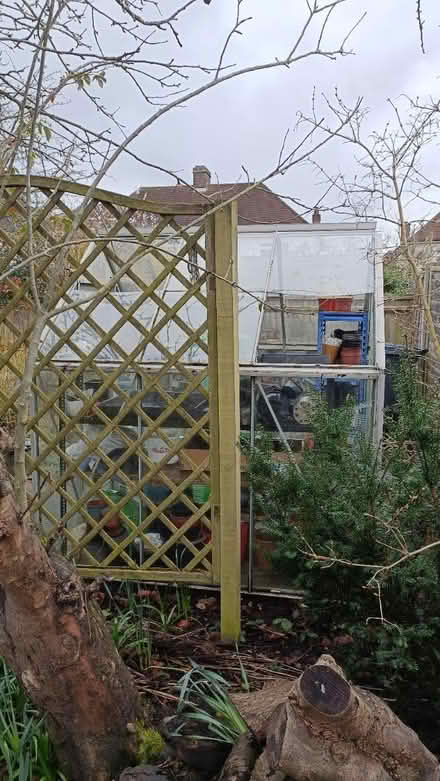 Photo of free 6ft x 6ft metal greenhouse (Shirley CR0) #4
