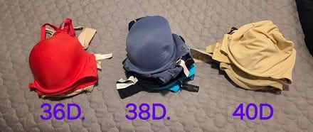 Photo of free Bras 36D TO 40D (Keyport) #1