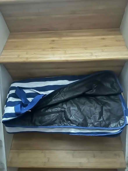 Photo of free Picnic mat (Stoke Newington N16) #1