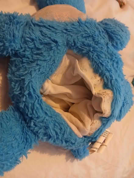 Photo of free Heat up stuffed toy dinosaur (E3) #4