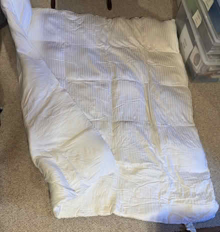 Photo of free Quilted Laura Ashley King bed pad (Chevy Chase DC) #1