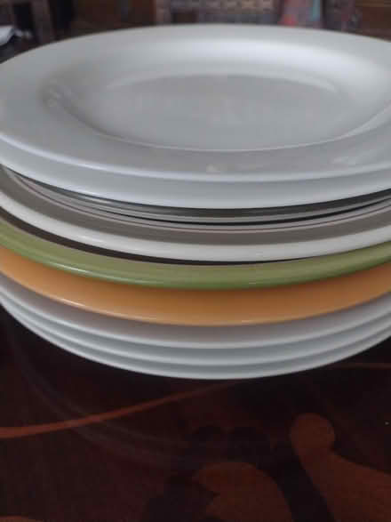 Photo of free Dinner plates (Leicester LE3) #1