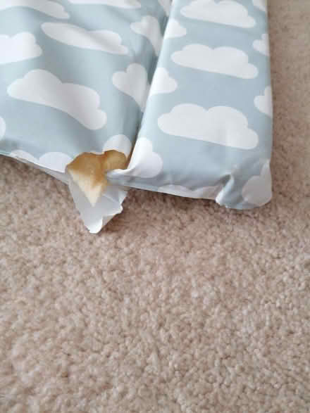 Photo of free Changing mat (Langney BN23) #2