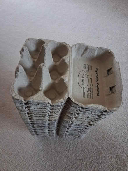 Photo of free Egg boxes (Crosspool S10) #1