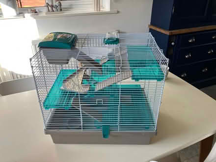 Photo of free Hamster Cage (Darley Abbey DE22) #1
