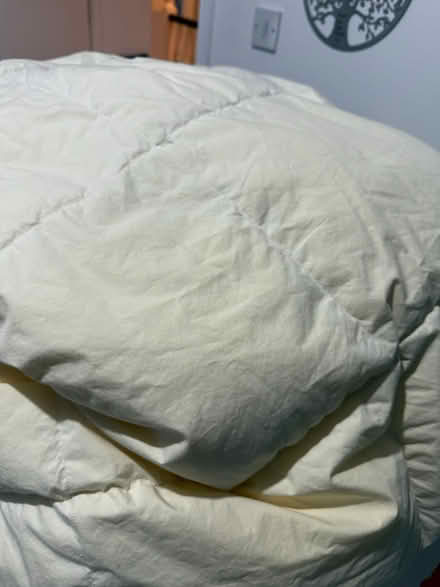 Photo of free King size goose duvet (Faygate) #1