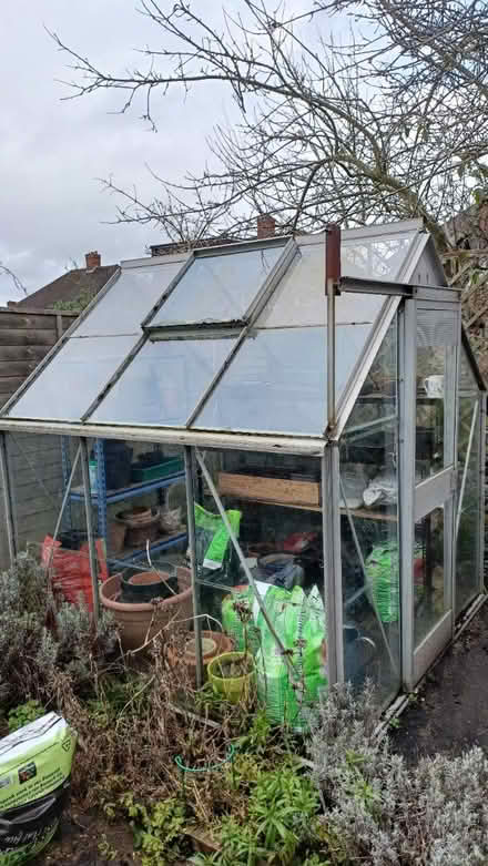 Photo of free 6ft x 6ft metal greenhouse (Shirley CR0) #2