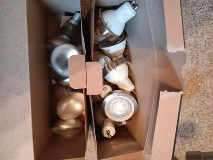 Photo of free Ceiling light fittings (Chalvington BN27) #2