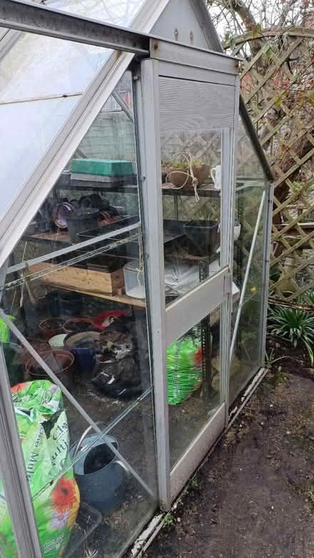 Photo of free 6ft x 6ft metal greenhouse (Shirley CR0) #3