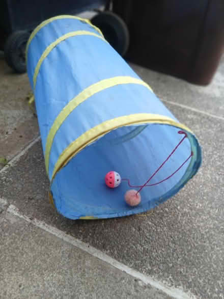 Photo of free Cat Play Tunnel (SE22) #1