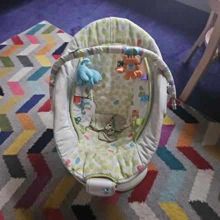 Photo of free sterilizer kit and baby bouncer (Langley SL3) #3