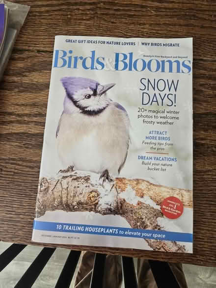 Photo of free Magazines (Wards Corner) #2