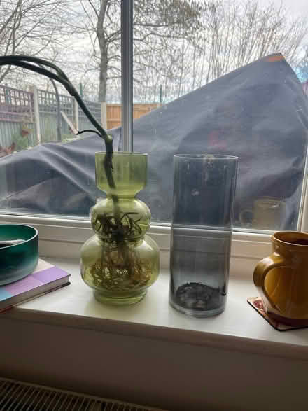 Photo of free Glass vases (Warrington) #1