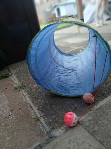 Photo of free Cat Play Tunnel (SE22) #2