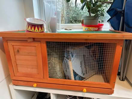 Photo of free Guinea pig hutch and bits (Hillsborough S6) #1