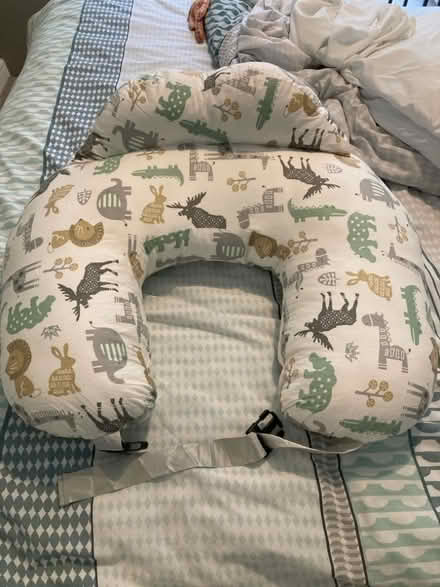 Photo of free Nursing pillow (Wood Street E17) #1