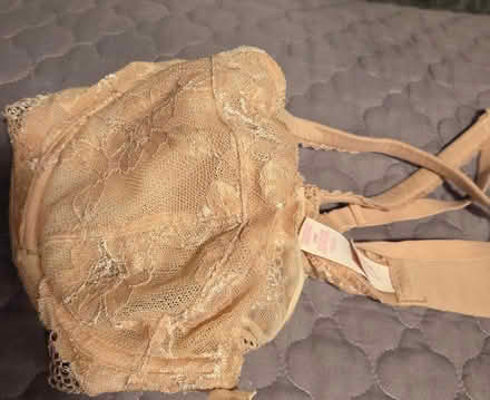 Photo of free Bras 36D TO 40D (Keyport) #4