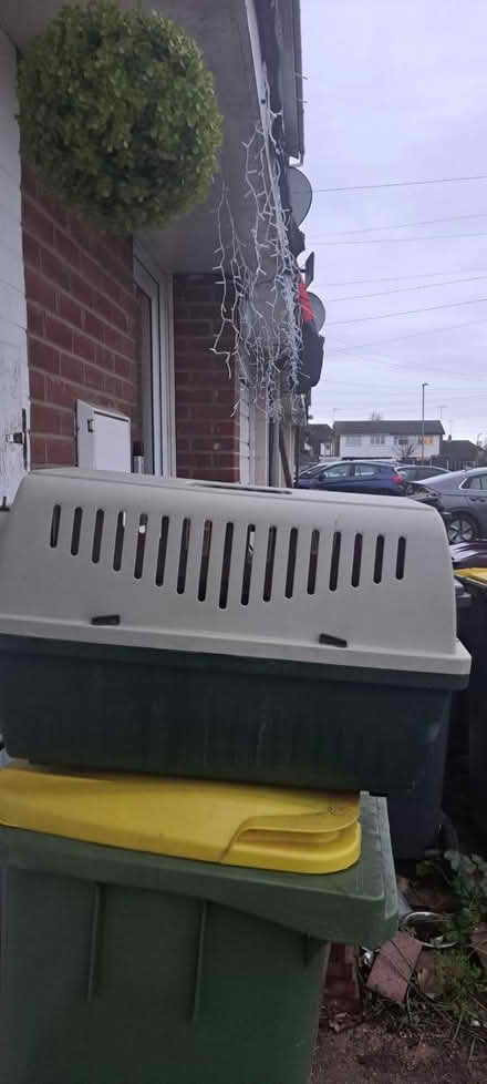 Photo of free Pet carrier (Southend SS2) #1