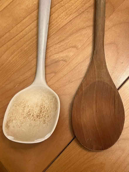Photo of free Two large spoons/gardening tools (Hintonburg) #2