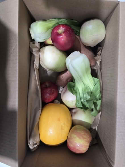 Photo of free Fresh vegetables (SW DC) #1