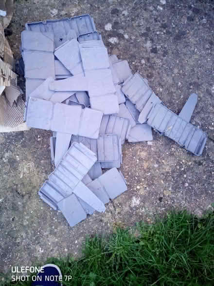 Photo of free Lawn edgers (Chingford E4) #1