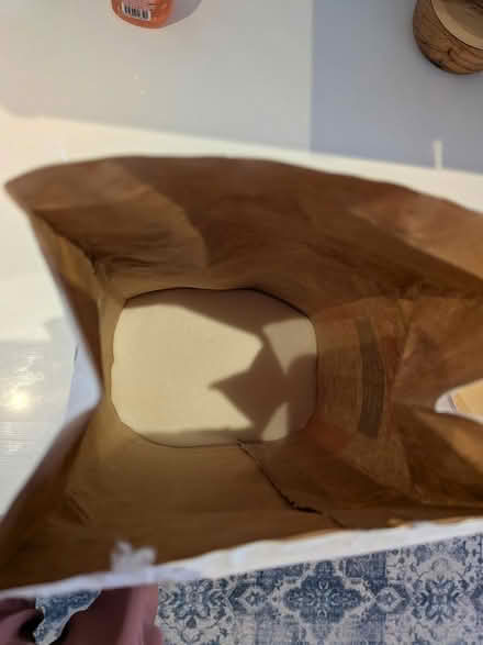 Photo of free Sugar (Old Ottawa south) #2