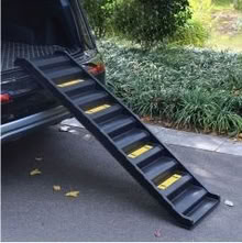 Photo of free Dog Step Ladder (Southwick BN42) #1