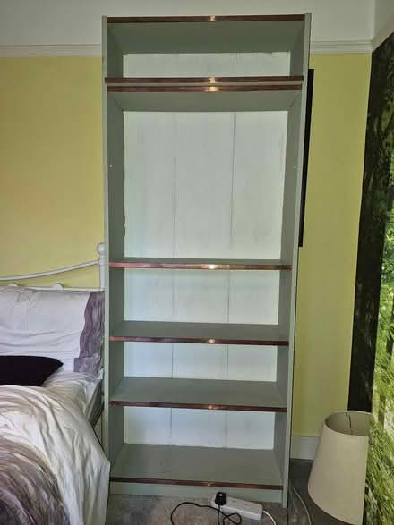 Photo of free 2 IKEA shelf units (Henley RG9) #2