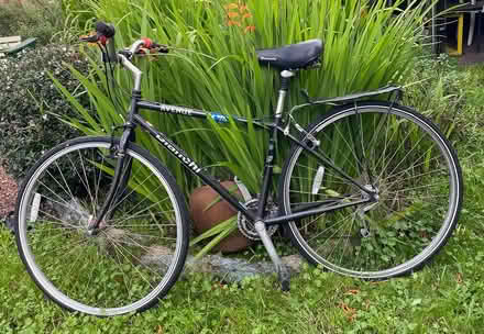 Photo of free Brianchi Adult Bike (Berkeley) #1