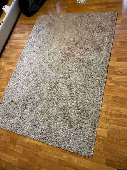 Photo of free Rug (Enfield N13) #1
